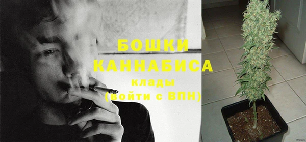 гидра Калининец