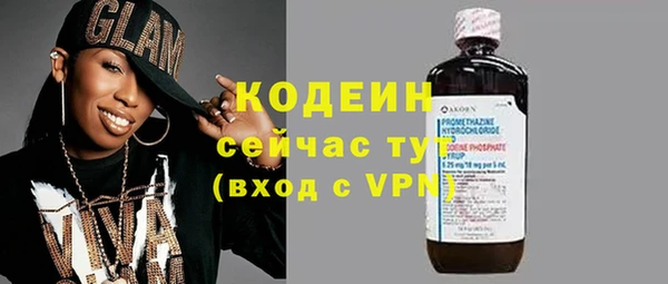 амф Козельск