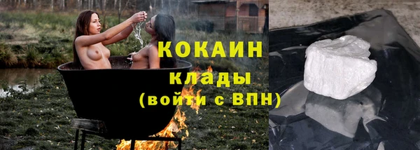 ПСИЛОЦИБИНОВЫЕ ГРИБЫ Инсар
